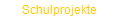 Schulprojekte